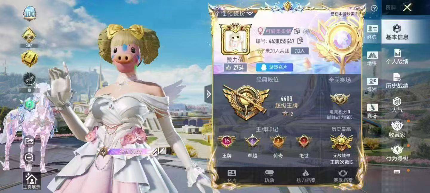 公主号战神框/7级ak幽焰/7级时空协奏/哈莉/小丑/雪国/4级欧若拉/番茄/赵灵儿/金鞋